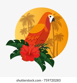 summer tropical background 