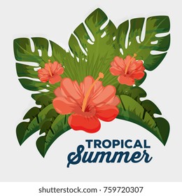 summer tropical background 