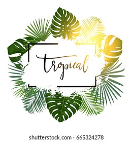  Summer tropical background with exotic palm leaves and plants. Vector background.