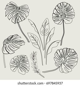 Summer tropical background with exotic palm leaves and plants. Vector floral background.