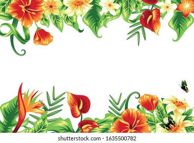 Summer tropical background frame with palm leaves and hibiscus flowers. Vector floral background.