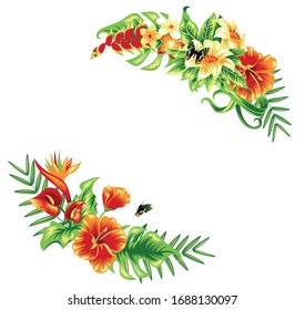 Summer tropical background frame with palm leaves and hibiscus flowers. Isolated on white. Vector floral background.