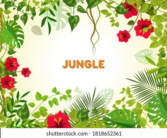 Summer tropical background with jungle plants. Liana branches frames and rainforest tropical leaves flowers. Junglee liana plants for banner greeting template vector illustration