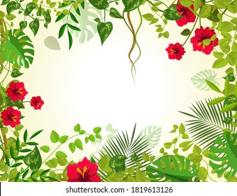 Summer tropical background with jungle plants. Liana branches frames and rainforest tropical leaves flowers. Junglee liana plants for banner greeting template vector illustration