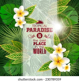 Summer Tropical Background with Leaves and flowers of Exotic Plants. 