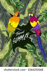 Summer tropical background. Palm and banana leaves, parrot