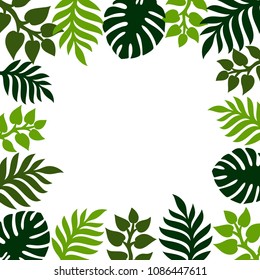 Summer tropical background with palm leaves. Place for text. Theme of plants. Vector floral background.