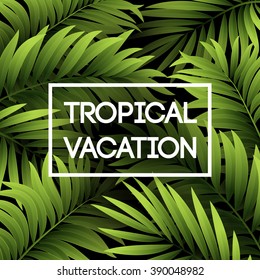 Summer tropical background of palm leaves