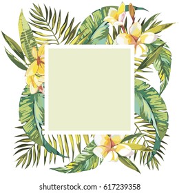 Summer tropical background with palm tree leaves and exotic plants, summer poster. Plumeria flowers. EPS 10