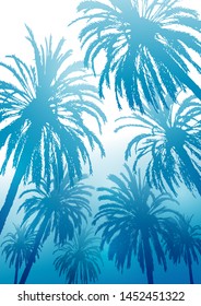Summer tropical background with palm trees silhouettes on blue