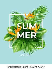 Summer tropical background with Strelitzia flowers and tropical leaves. The inscription Summer on a background of tropical green leaves. Vector illustration EPS10