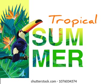 Summer tropical backgrounds with tropical palm leaves, plants and with toucan.  Negative space trend.  Summer placard,  poster, flyer, banner invitation card. 