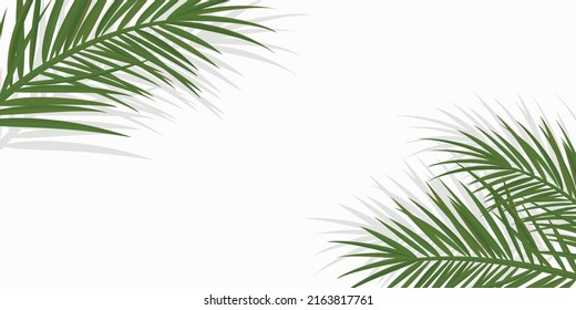 Summer tropical backgrounds with palms and transparent shadow. Summer  poster or flyer . Summertime