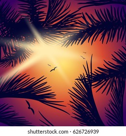 Summer tropical backgrounds set with palms, sky and sunset