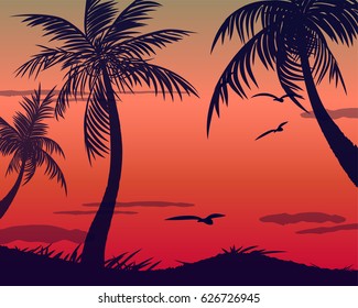 Summer tropical backgrounds set with palms, sky and sunset