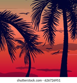 Summer tropical backgrounds set with palms, sky and sunset