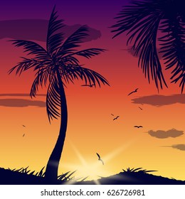 Summer tropical backgrounds set with palms, sky and sunset
