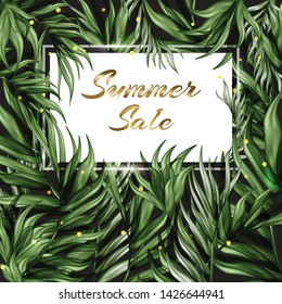 Summer tropical banner. Vector background.