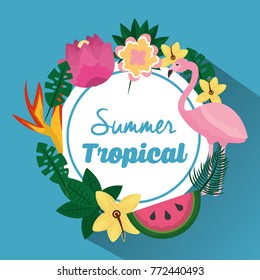 summer tropical beautiful flamengo exotic plants and fruit