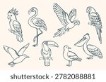 Summer tropical bird set in clean outline style. Flamingo, pelican, parrot, toucan and seagull in flying and sitting poses. Minimal vector line art isolated on light background.