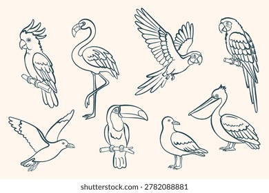 Summer tropical bird set in clean outline style. Flamingo, pelican, parrot, toucan and seagull in flying and sitting poses. Minimal vector line art isolated on light background.