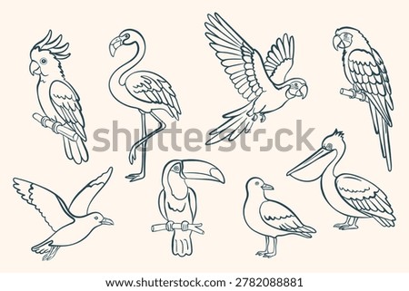 Summer tropical bird set in clean outline style. Flamingo, pelican, parrot, toucan and seagull in flying and sitting poses. Minimal vector line art isolated on light background.