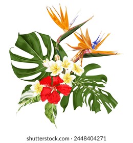 Summer tropical bouquet with red hibiscus flower, strelitzia, plumeria, monstera and variegated leaves. Vector illustration on a white background.