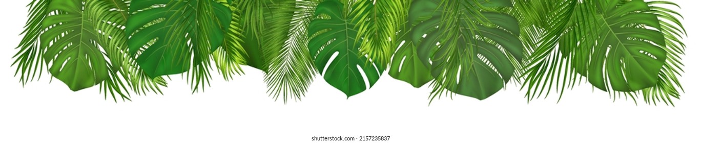 Sommertropische Komposition mit grünen Palmenblättern. Exotisches botanisches Design mit Dschungelpflanzen für Banner, Plakat. Vektorgrafik