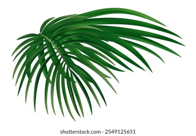 Summer tropical composition with palm leaves and exotic plants. Exotic botanical design with jungle plants for banner, poster. Vector illustration