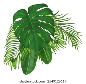 Composición tropical de verano con hojas de palma verde realista. Diseño botánico con exuberantes plantas de follaje de la selva para invitación, Anuncio, cartel. Ilustración vectorial