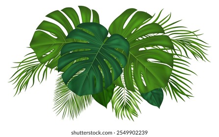 Summer tropical composition with various green palm leaves. Vector plant design for leaflet, banner, printing