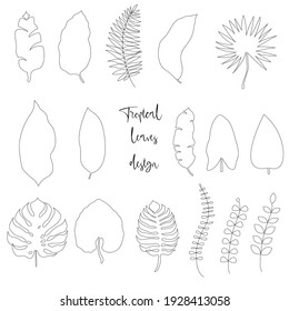 Tropische Sommerhintergründe mit Blättern. Vektorgrafik auf floralem Hintergrund, Naturhintergrund, Banner, Deckel, Vorlagen, Poster.