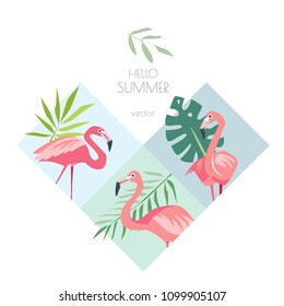 Summer tropical creative vector background with exotic birds flamingo and palm leaves white isolated