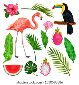 Summer tropical design elements set, isolated on white background. Vector cartoon illustration of toucan, flamingo, palm leaves and dragon fruit.