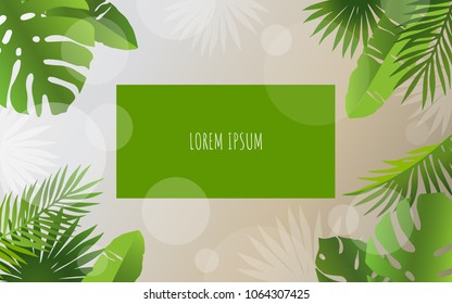 Summer tropical design template. Abstract background with palm leaves