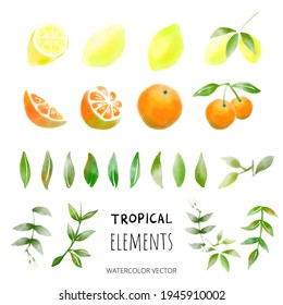 Summer tropical elements drawn in watercolors. Tropical frame vector set. Orange and Lemon tree wreath