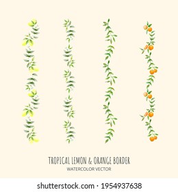 Summer tropical elements drawn in watercolors. Tropical frame vector set. Lemon tree border
