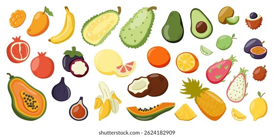 Conjunto de frutas exóticas tropicales de verano. Colección de fruta entera y en rodajas incluyendo mango, plátano, aguacate, coco, lichi, granada, maracuja, papaya, piña y pitaya. Ilustración vectorial