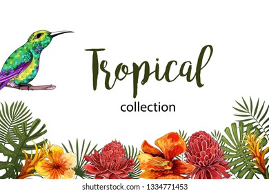 Summer Tropical Exotic Leaves and Branches composition with lettering. Exotic tropical colibri animal. Vector postcard template illustaration