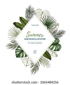 Summer tropical exotic template. Label with Palm leaves (monstera, areca, fan, banana). Hand drawn vector illustration. Perfect for prints, posters, invitations, packing etc