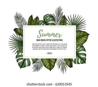 Summer tropical exotic template. Label with Palm leaves (monstera, areca, fan, banana). Hand drawn vector illustration. Perfect for prints, posters, invitations, packing etc