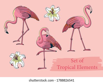Summer Tropical Flamingo Vector Decorative Element Set
