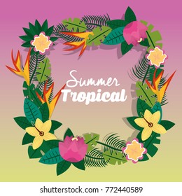 summer tropical flower differents   frame ornament