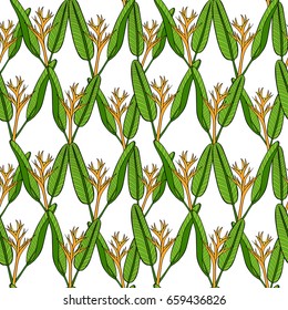 Summer tropical flower pattern vector seamless. Floral jungle heliconia texture background. Design for wallpaper, fashion apparel, swimwear fabric, beach party cards or vacation illustration.