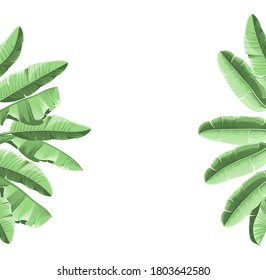 Summer tropical frame with banana leaves. Background with eucalyptus branches