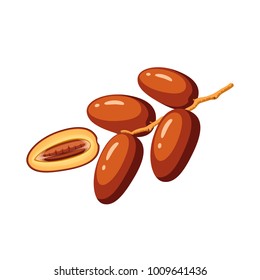 Summer tropical fruits for healthy lifestyle. Branch of dates. Vector illustration cartoon flat icon isolated on white.