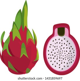 Summer tropical fruits for healthy lifestyle. Red dragon fruit, whole fruit and half.Vector image of a dragon fruit on a white background