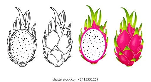 summer tropical fruits for healthy lifestyle red dragon fruit whole fruit and half vector illustration flat cartoon icon isolated on white.Vector eps 10