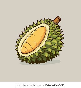 Summer tropical fruits for healthy lifestyle.  Durian, whole fruit and piece.  Vector illustration cartoon flat icon.