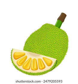 Frutas tropicales de verano para un estilo de vida saludable. Jaca. Icono plano de la historieta de la Ilustración vectorial aislado en blanco.